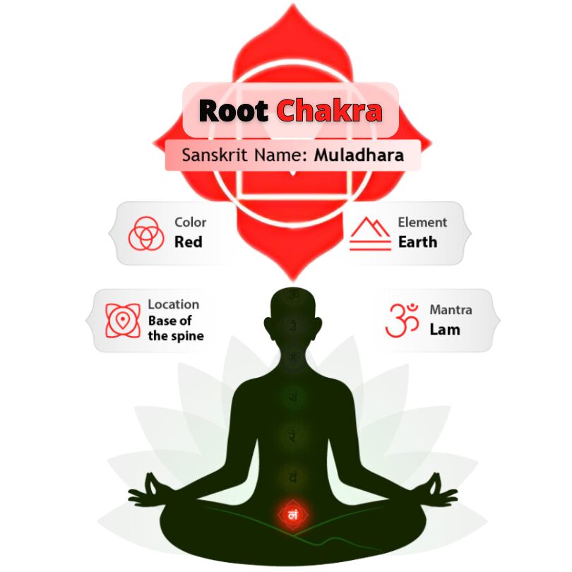 1° Chakra Radice