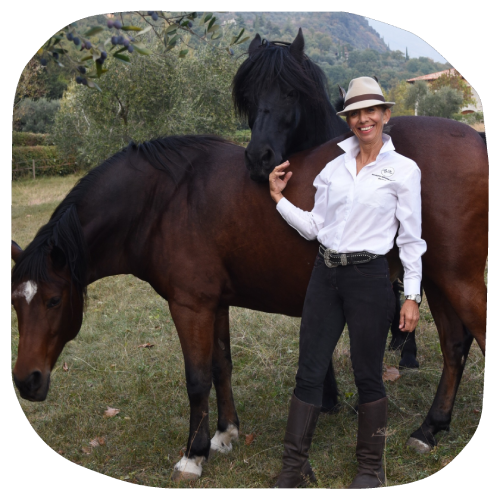 I Cavalli come Maestri