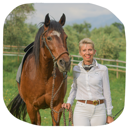 Il Coaching come Ponte