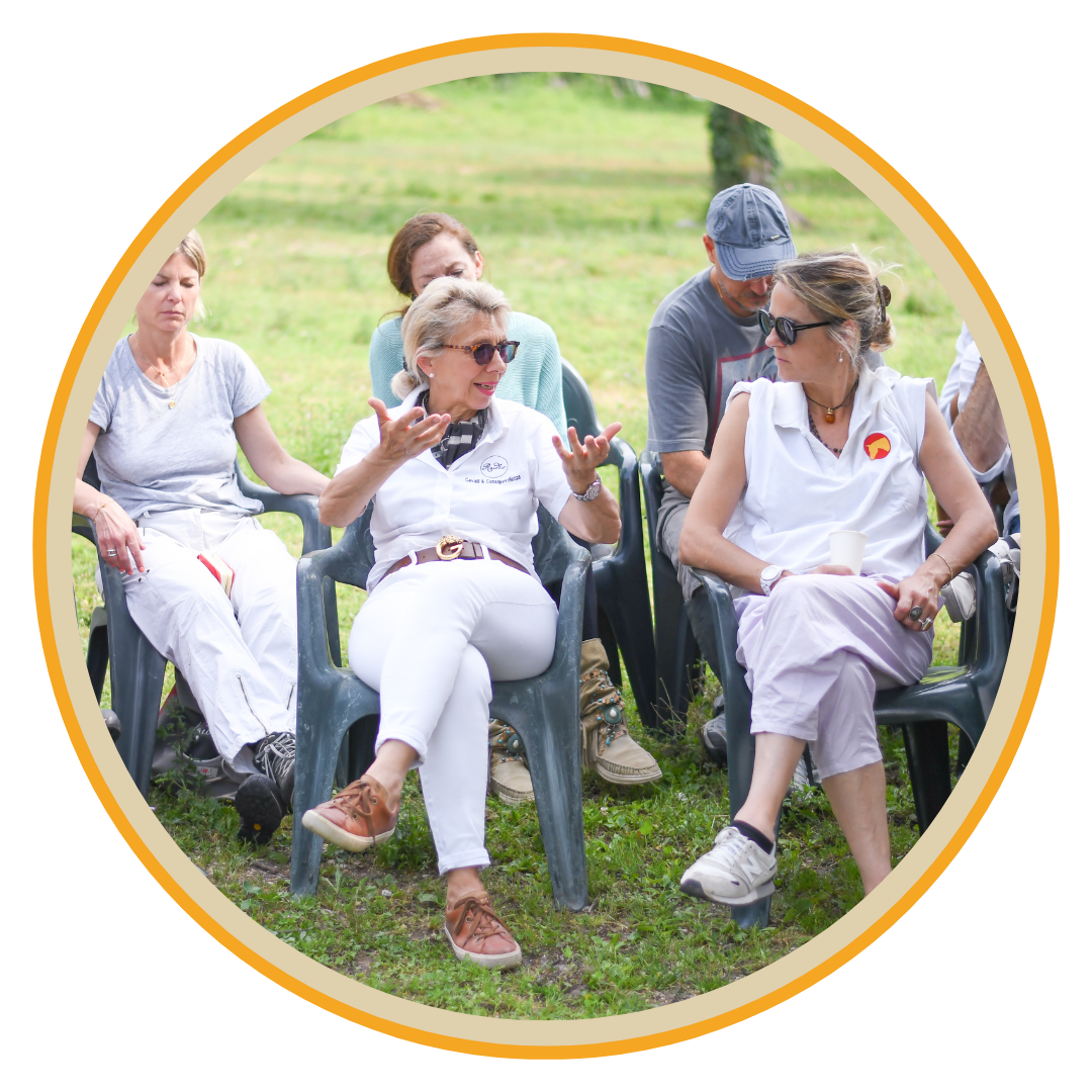 Chakra Healing Live con i cavalli